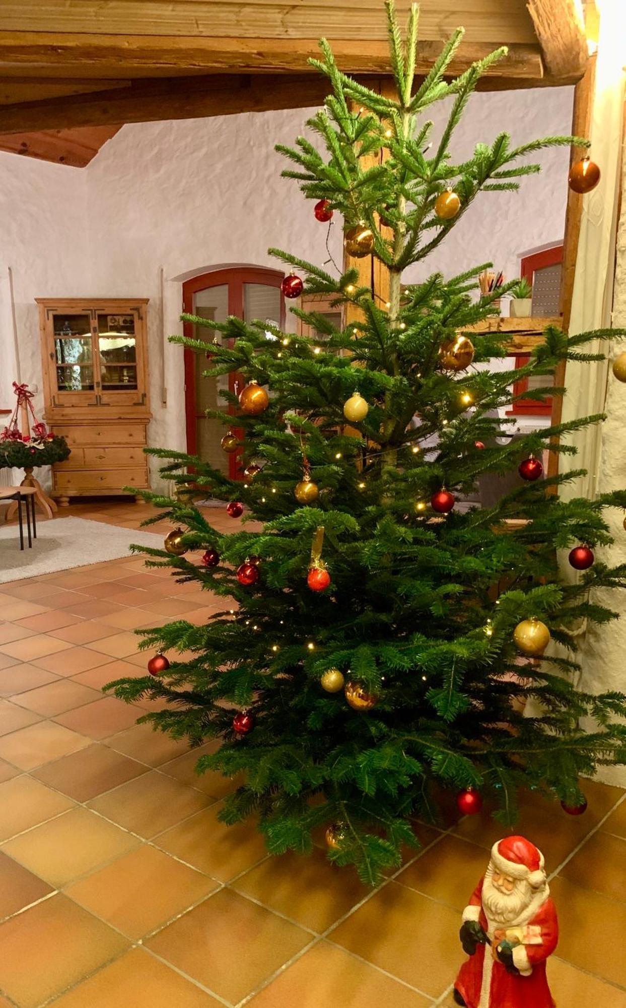 Altmuehl Familienvilla Treuchtlingen Kültér fotó